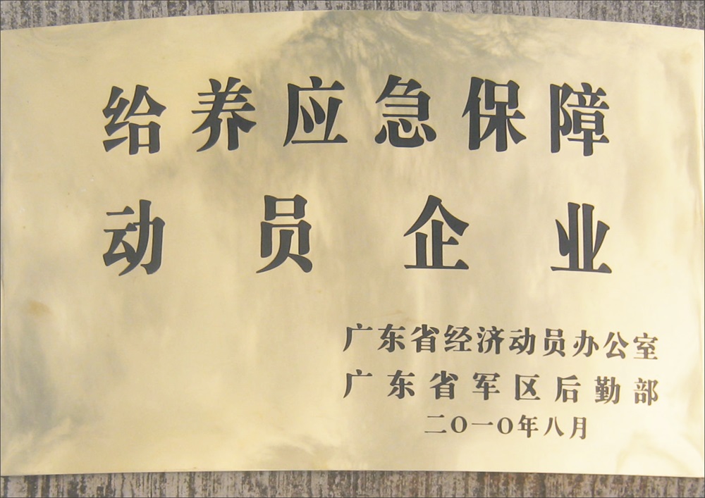 应急保障
