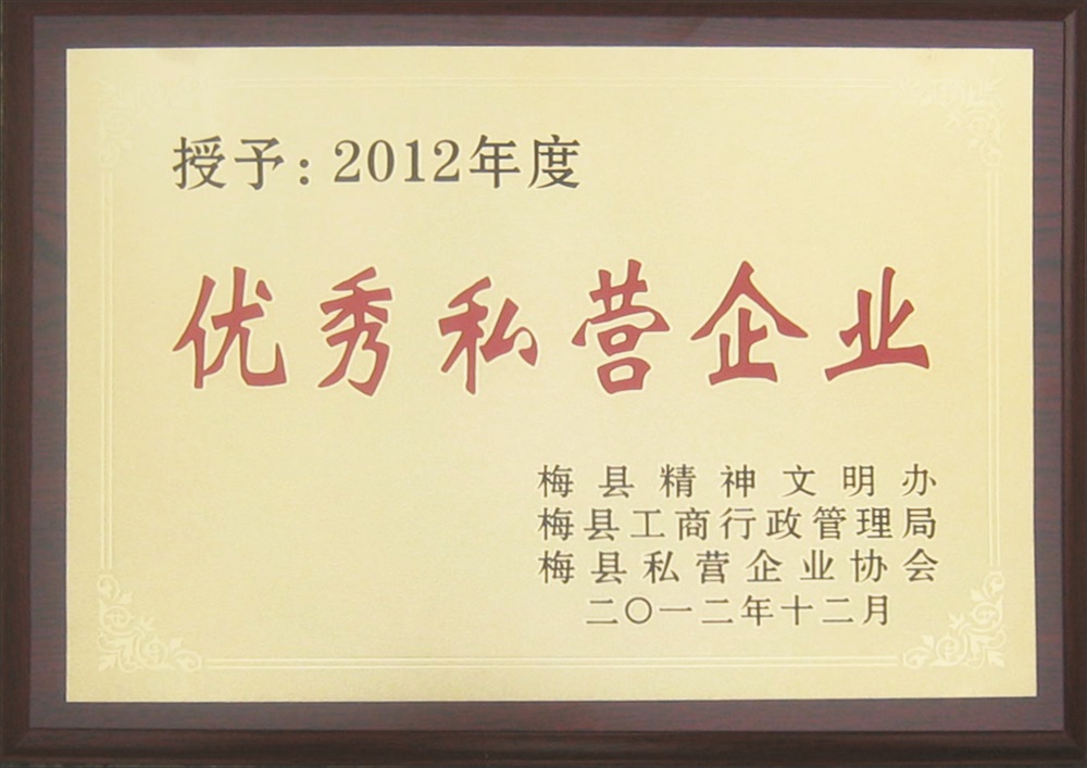 优秀私营企业